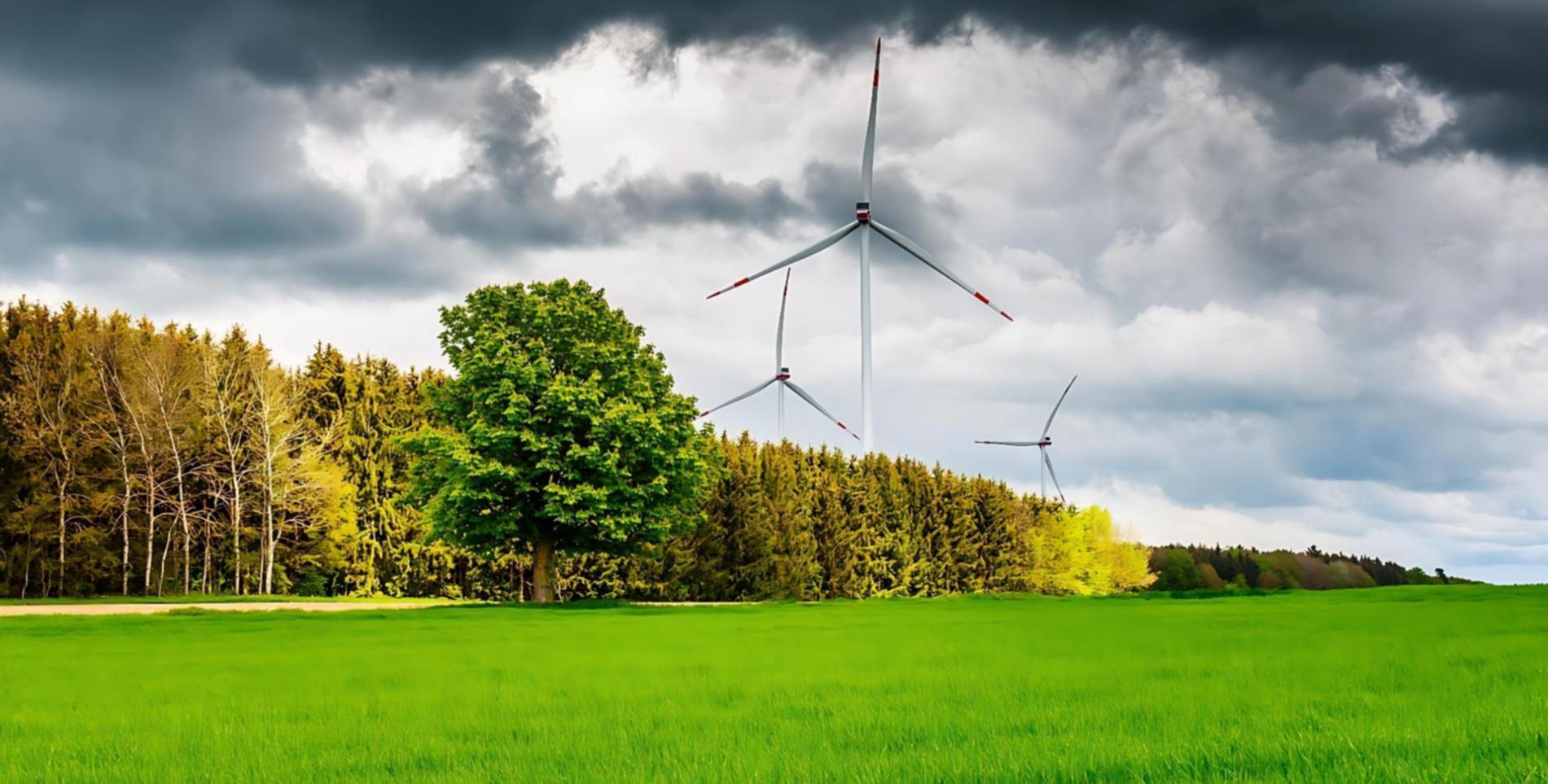 Accompagnement pédagogique et ressources d'aide